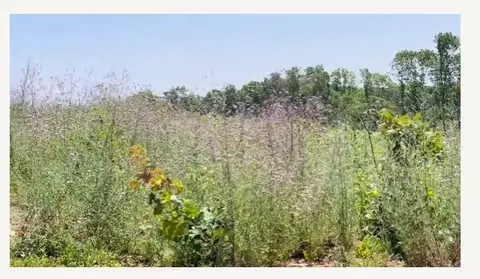 000 Co Rd 3440, Mountain View, MO 65548 photo 4
