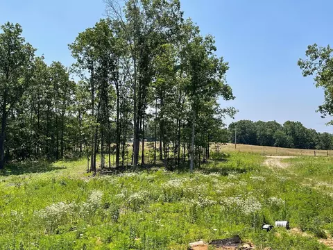 000 Co Rd 3440, Mountain View, MO 65548 photo 2