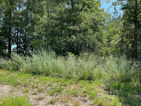 000 Co Rd 3440, Mountain View, MO 65548 photo 7