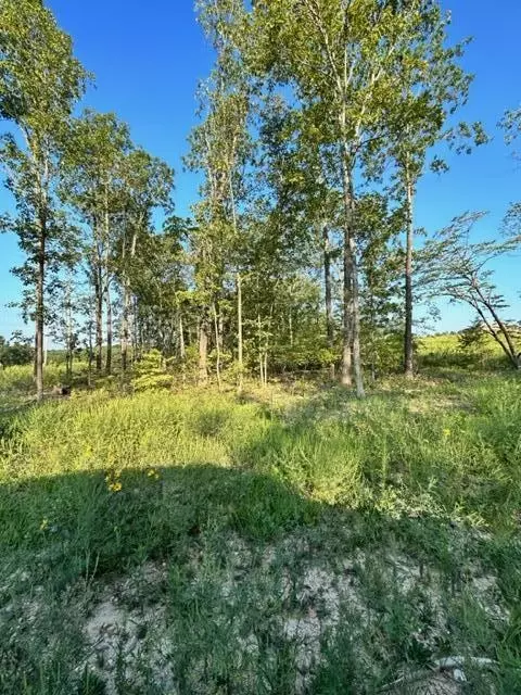 000 Co Rd 3440, Mountain View, MO 65548 photo 9