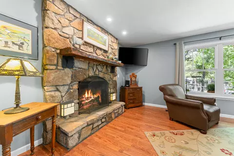 442 Cougar Trl, Branson, MO 65616 photo 8
