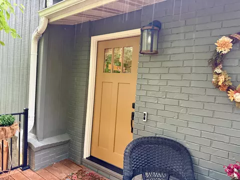 442 Cougar Trl, Branson, MO 65616 photo 4