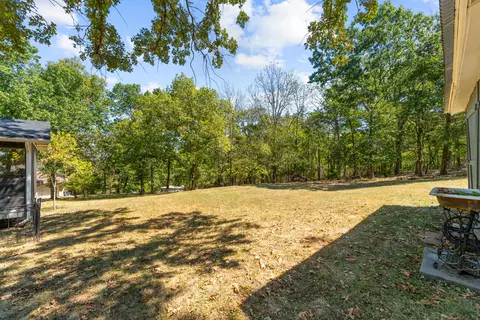 442 Cougar Trl, Branson, MO 65616 photo 49