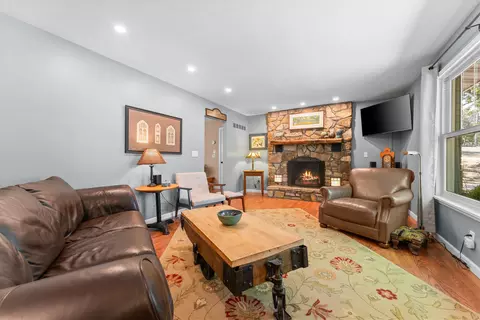 442 Cougar Trl, Branson, MO 65616 photo 5