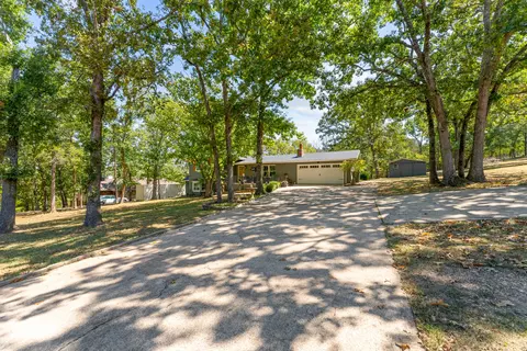 442 Cougar Trl, Branson, MO 65616 photo 50
