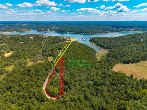 Tract 1 County Road 635, Theodosia, MO 65761