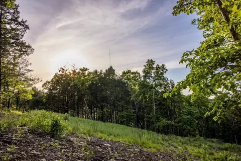000 Patriot Dr, Forsyth, MO 65653 photo 11