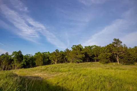 000 Patriot Dr, Forsyth, MO 65653 photo 17