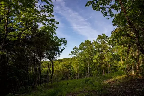 000 Patriot Dr, Forsyth, MO 65653 photo 14