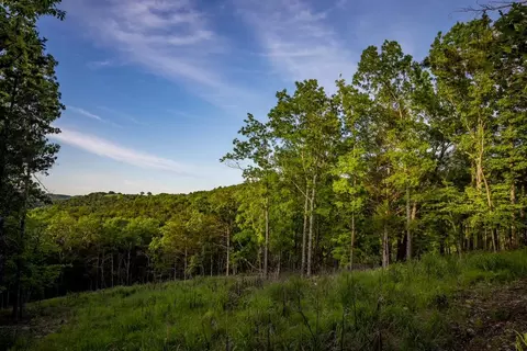 000 Patriot Dr, Forsyth, MO 65653 photo 12