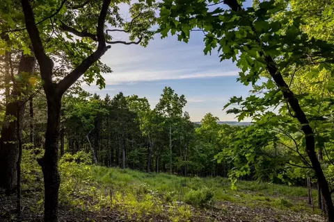 000 Patriot Dr, Forsyth, MO 65653 photo 10