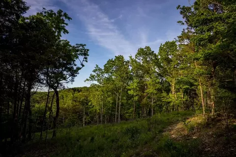 000 Patriot Dr, Forsyth, MO 65653 photo 13