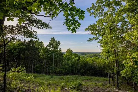 000 Patriot Dr, Forsyth, MO 65653 photo 15