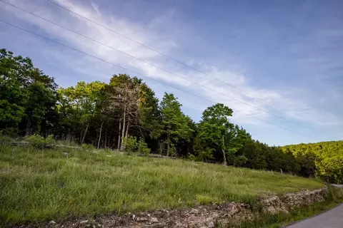 000 Patriot Dr, Forsyth, MO 65653 photo 19