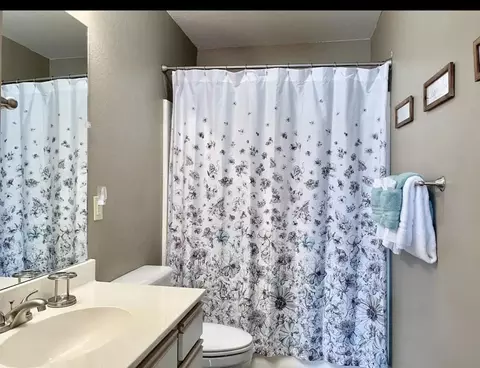 Bath - 2700 Green Mountain Dr #3, Branson, MO 65616 photo 3 of 7