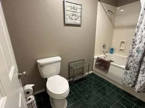 Bath - 2700 Green Mountain Dr #3, Branson, MO 65616 photo 5 of 7