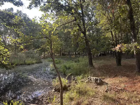 000 Grimes Mill Dr, Mountain Grove, MO 65711