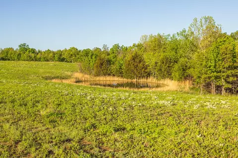 View/Area - 13760 Junction Rd, Eldridge, MO 65463 photo 34 of 34
