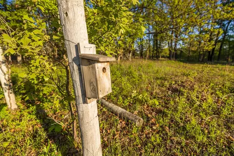 Other - 13760 Junction Rd, Eldridge, MO 65463 photo 75 of 131