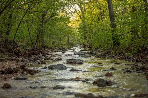 Other - 13760 Junction Rd, Eldridge, MO 65463 photo 57 of 131