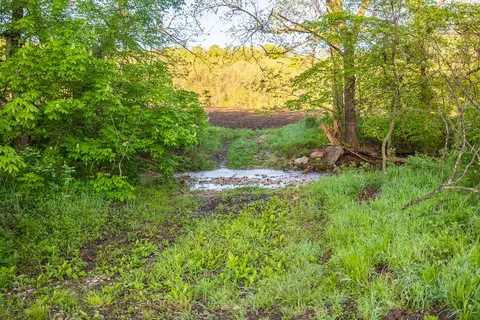 Other - 13760 Junction Rd, Eldridge, MO 65463 photo 81 of 131