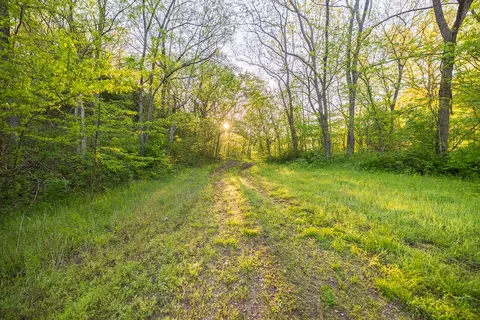 Other - 13760 Junction Rd, Eldridge, MO 65463 photo 88 of 131
