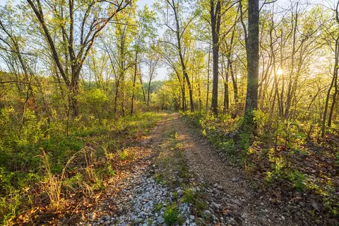 Other - 13760 Junction Rd, Eldridge, MO 65463 photo 97 of 131