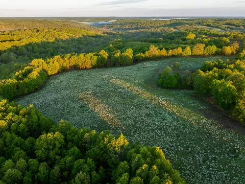 View/Area - 13760 Junction Rd, Eldridge, MO 65463 photo 31 of 34