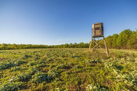 Other - 13760 Junction Rd, Eldridge, MO 65463 photo 66 of 131