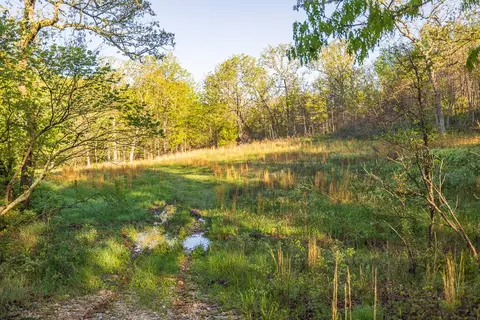 Other - 13760 Junction Rd, Eldridge, MO 65463 photo 74 of 131