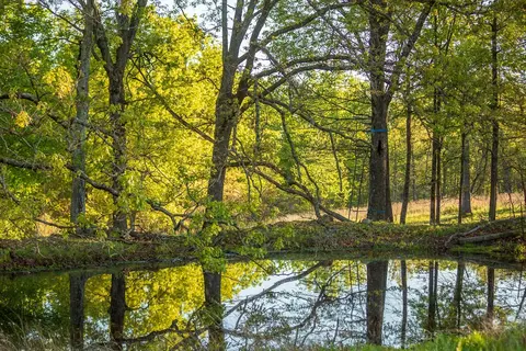 View/Area - 13760 Junction Rd, Eldridge, MO 65463 photo 33 of 34