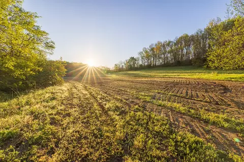 Other - 13760 Junction Rd, Eldridge, MO 65463 photo 90 of 131