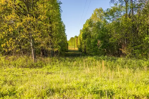 Other - 13760 Junction Rd, Eldridge, MO 65463 photo 65 of 131