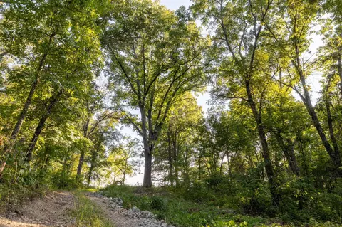 Other - 13760 Junction Rd, Eldridge, MO 65463 photo 99 of 131