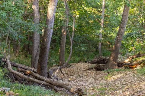 Other - 13760 Junction Rd, Eldridge, MO 65463 photo 113 of 131