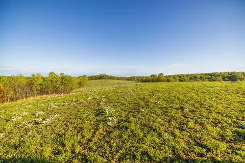 Exterior - 13760 Junction Rd, Eldridge, MO 65463 photo 5 of 14