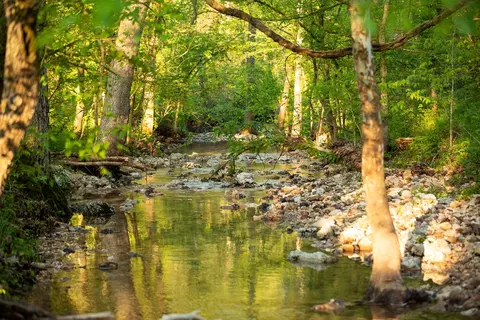 Other - 13760 Junction Rd, Eldridge, MO 65463 photo 58 of 131