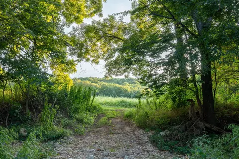 Other - 13760 Junction Rd, Eldridge, MO 65463 photo 109 of 131