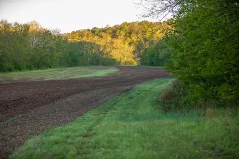 Other - 13760 Junction Rd, Eldridge, MO 65463 photo 61 of 131