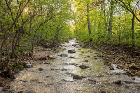 Other - 13760 Junction Rd, Eldridge, MO 65463 photo 59 of 131