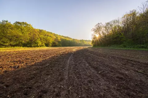 Other - 13760 Junction Rd, Eldridge, MO 65463 photo 86 of 131