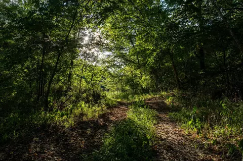 Other - 13760 Junction Rd, Eldridge, MO 65463 photo 104 of 131