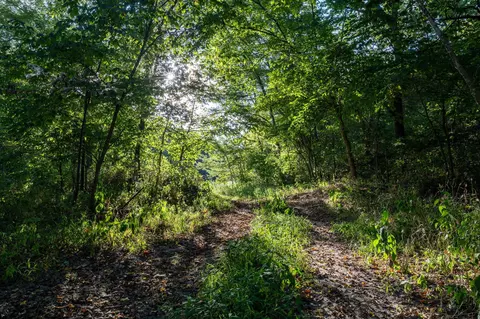 Other - 13760 Junction Rd, Eldridge, MO 65463 photo 103 of 131