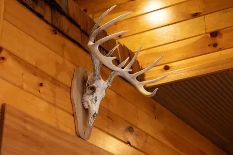 Other - 13760 Junction Rd, Eldridge, MO 65463 photo 47 of 131