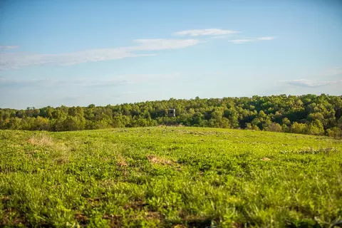Other - 13760 Junction Rd, Eldridge, MO 65463 photo 54 of 131