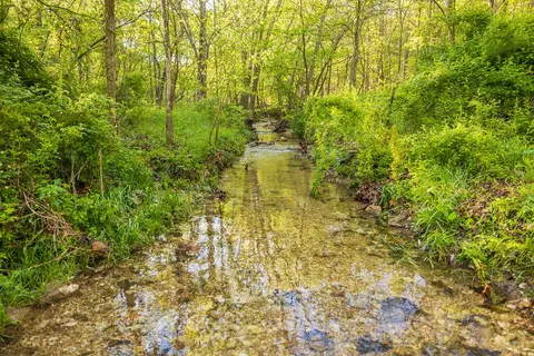 Other - 13760 Junction Rd, Eldridge, MO 65463 photo 72 of 131