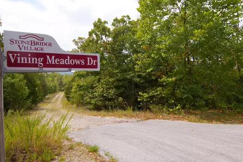 tbd Vining Meadows Dr, Branson West, MO 65737 photo 2