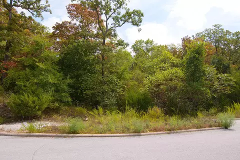 tbd Vining Meadows Dr, Branson West, MO 65737 photo 11