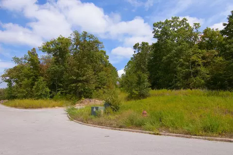 tbd Vining Meadows Dr, Branson West, MO 65737 photo 6