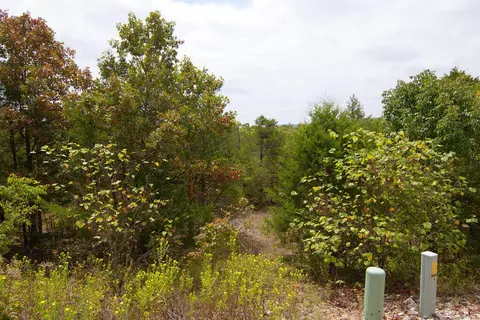 tbd Vining Meadows Dr, Branson West, MO 65737 photo 16